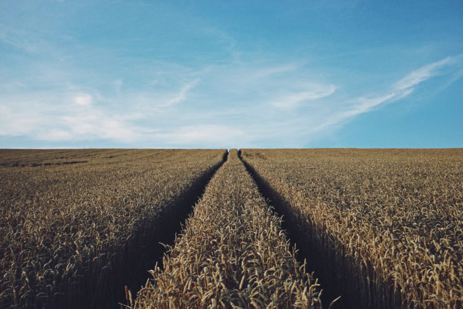 rasmus-landgreen-tylohxbj5tg-unsplash-3